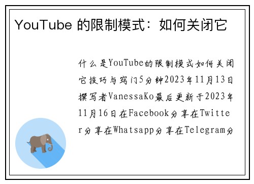 YouTube 的限制模式：如何关闭它 